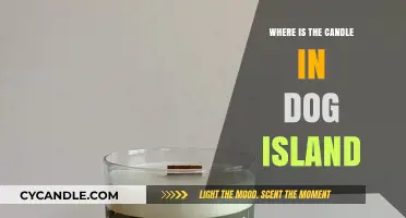 Finding the Candle: Exploring Dog Island's Secrets