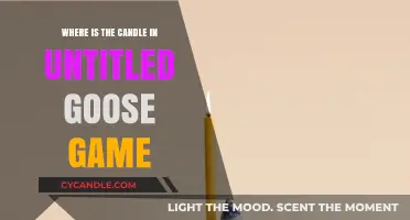 Goose, Where's the Candle?