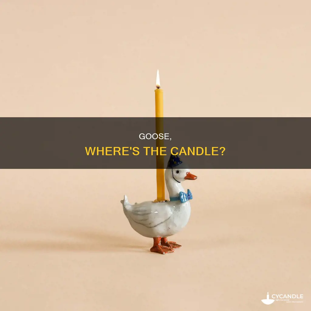 where is the candle in untitled goose game