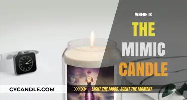 The Mimic Candle: A Unique Home Decor Item