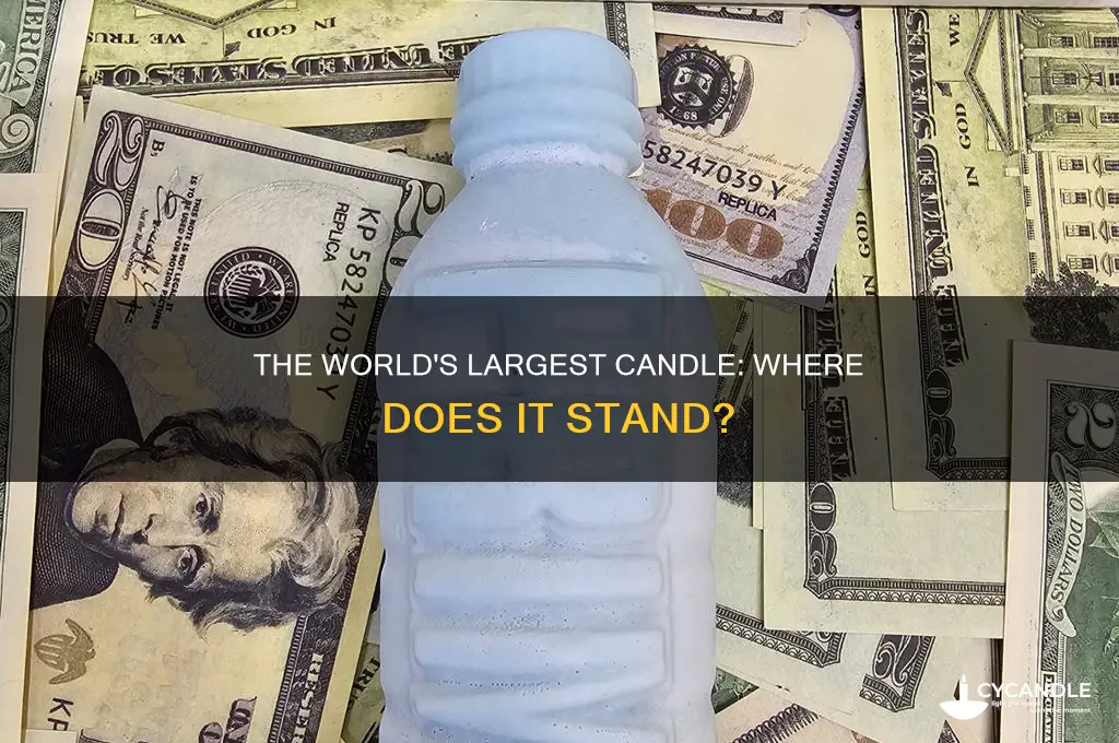 where is the world