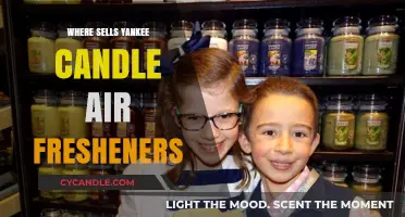 Where to Buy Yankee Candle Air Fresheners: Top Retailers Guide