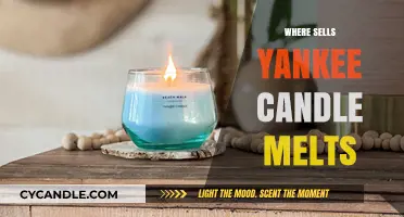 Discover Top Retailers Selling Yankee Candle Melts Near You