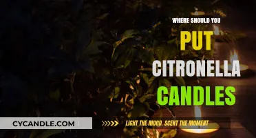 Strategic Placement Tips for Citronella Candles to Keep Bugs Away