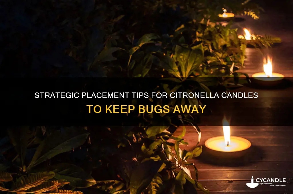 where should you put citronella candles