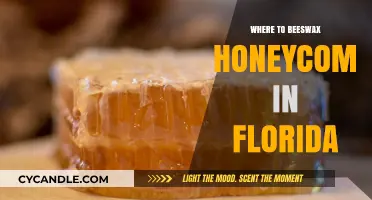 Discover Florida's Best Sources for Beeswax Honeycomb: A Local Guide