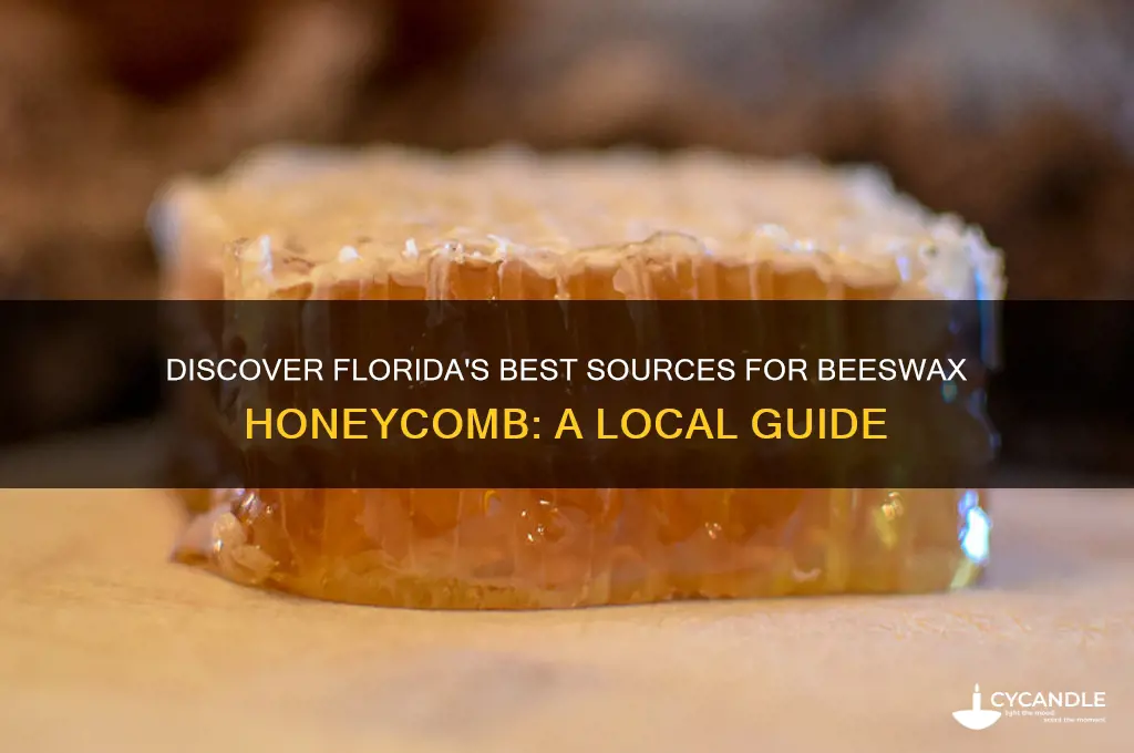 where to beeswax honeycomb in florida