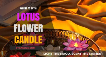 Best Places to Purchase Lotus Flower Candles for Home Decor