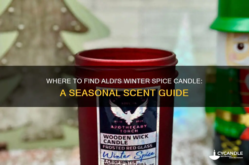 where to buy aldi winter spice candle