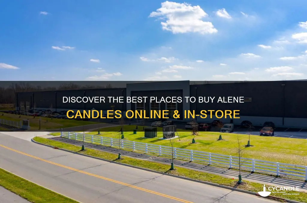 where to buy alene candles