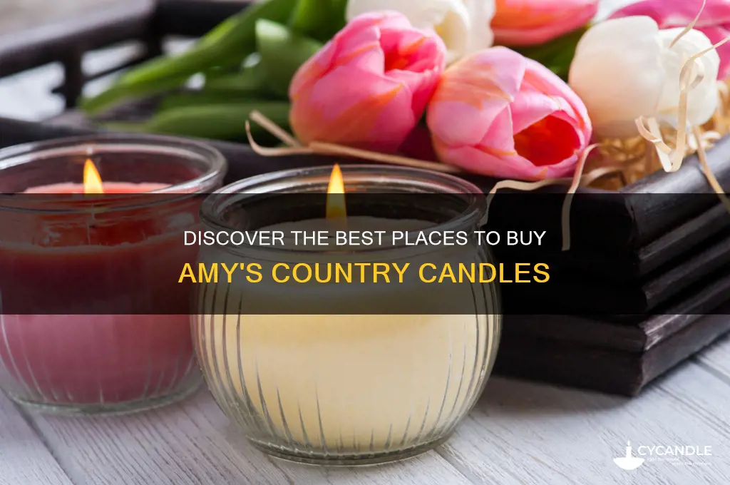 where to buy amy