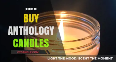 Discover the Best Retailers to Buy Anthology Candles Online