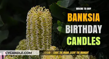 Unique Banksia Birthday Candles: Top Retailers and Online Stores to Shop