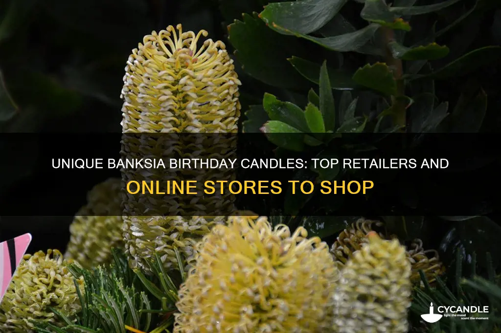 where to buy banksia birthday candles