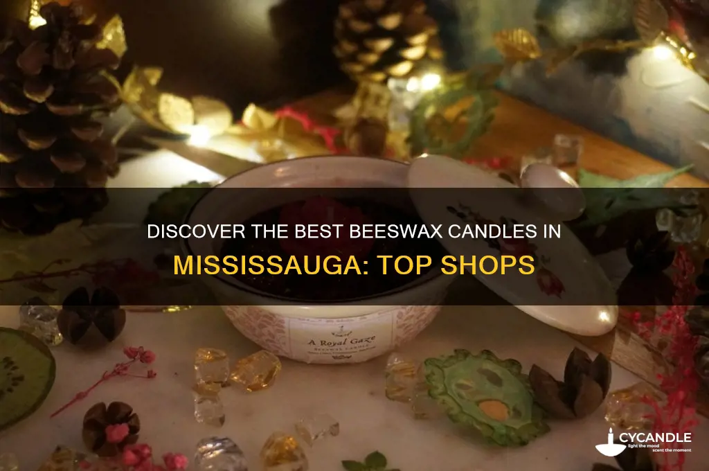 where to buy beeswax candles in mississauga