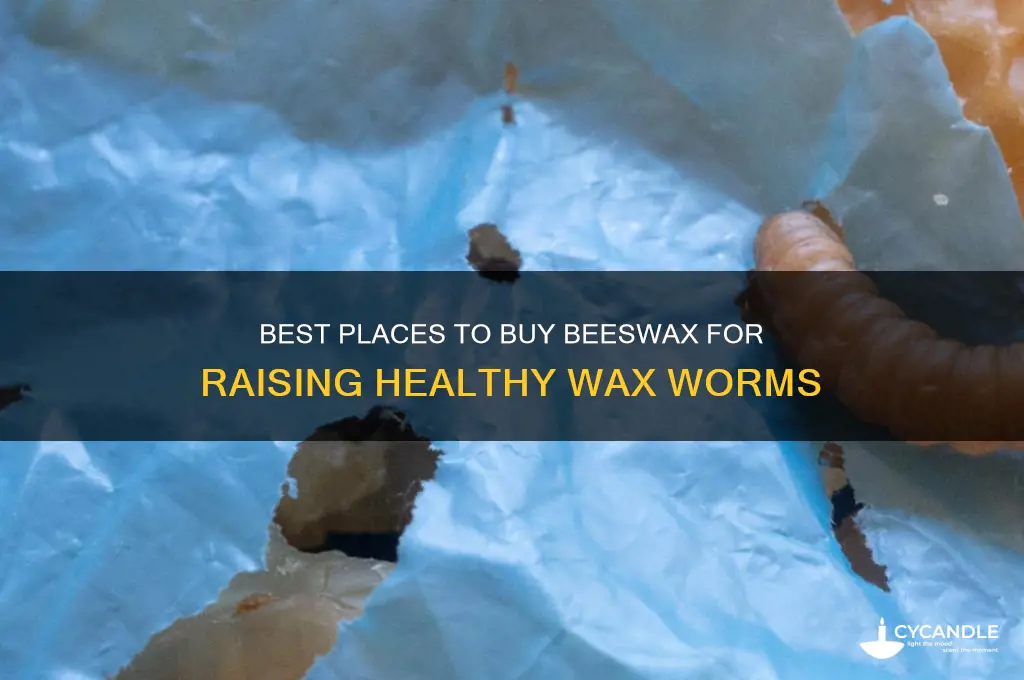 where to buy beeswax for wax worms