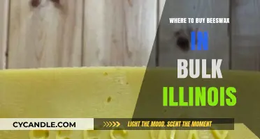 Bulk Beeswax Suppliers in Illinois: Top Sources for Quality Purchases