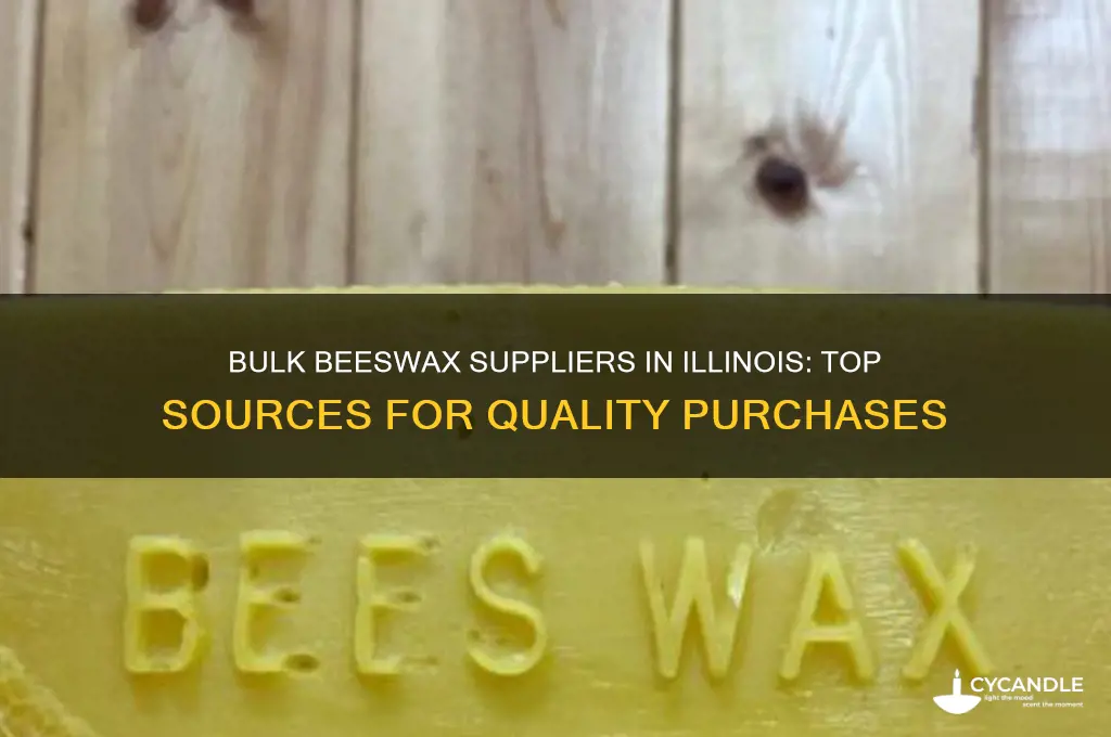 where to buy beeswax in bulk illinois
