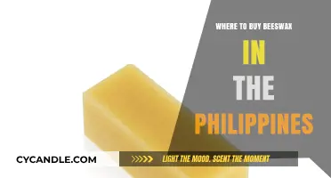 Discover Top Beeswax Suppliers in the Philippines for Quality Purchases