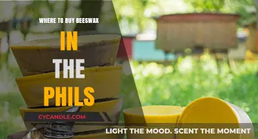 Discover Top Beeswax Suppliers in the Philippines: Your Ultimate Guide