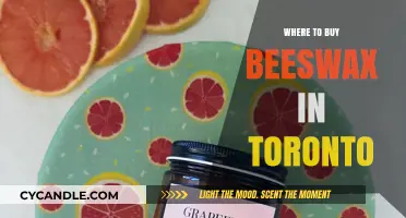 Best Places to Buy Beeswax in Toronto: A Local Guide
