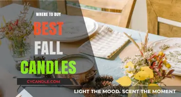 Top Fall Candles: Where to Buy the Best Seasonal Scents