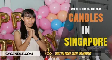 Best Places to Buy Large Birthday Candles in Singapore