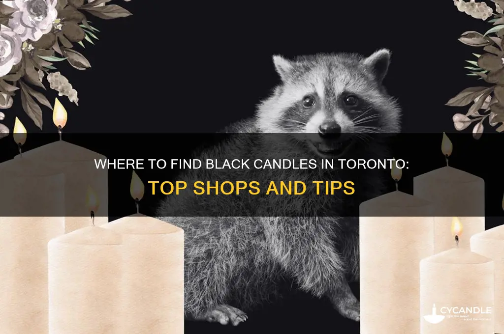 where to buy black candles in toronto