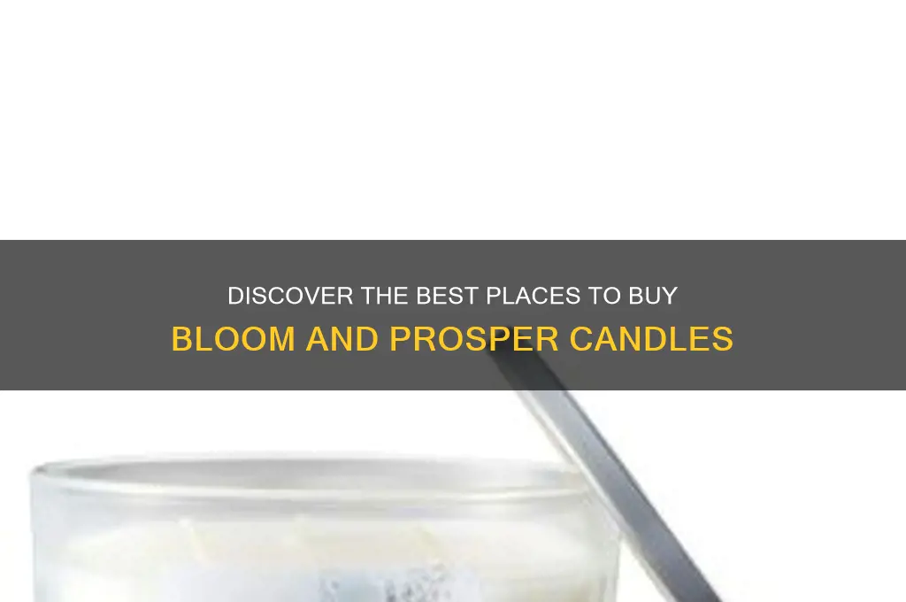 where to buy bloom and prosper candles