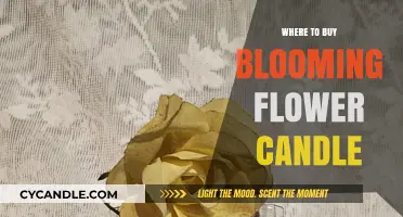 Discover the Best Places to Buy Blooming Flower Candles