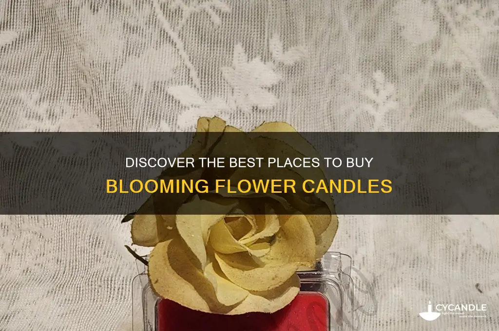 where to buy blooming flower candle
