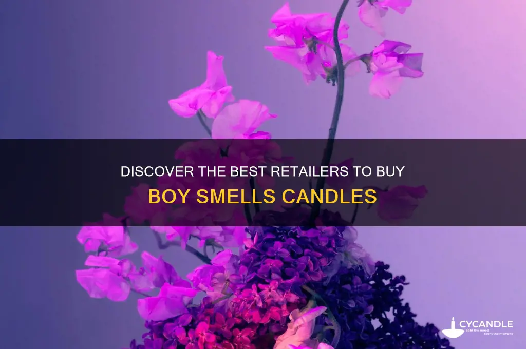 where to buy boy smells