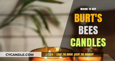 Discover the Best Places to Buy Burt's Bees Candles