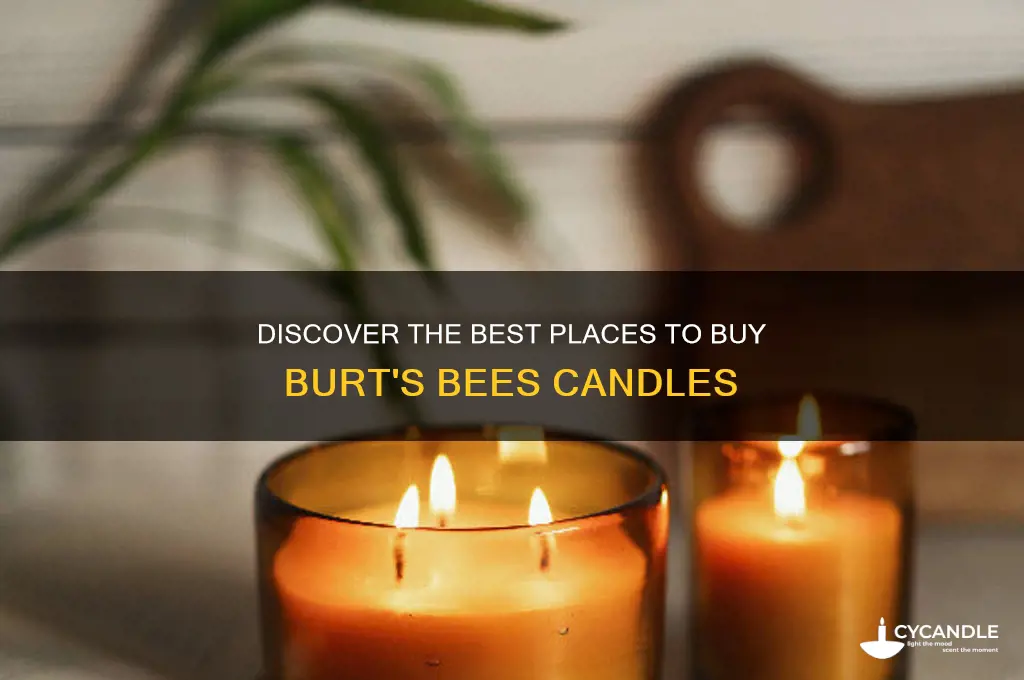 where to buy burt