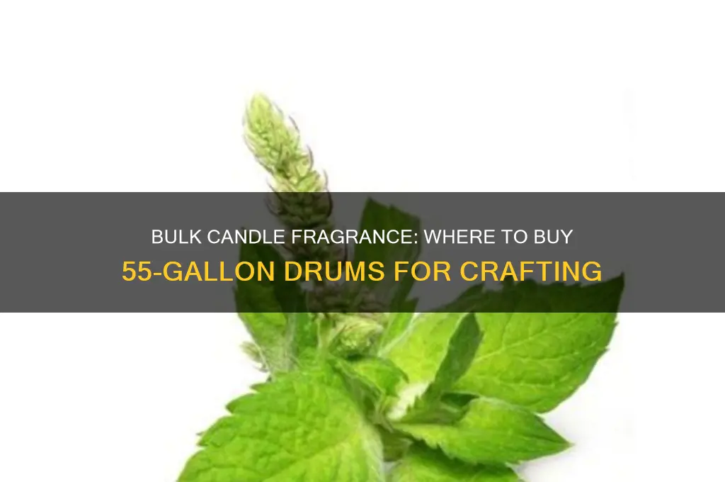 where to buy candle fragrance by 55 gallon drum