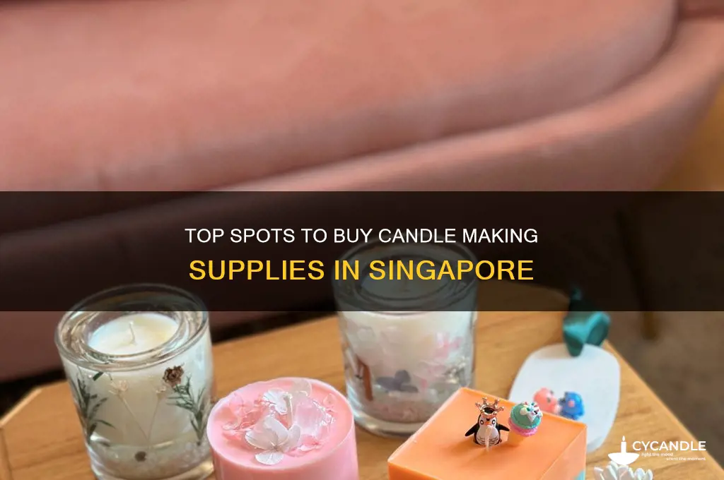 where to buy candle making supplies in singapore