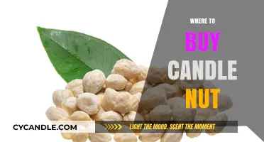 Discover the Best Places to Buy Candle Nut Online and Locally