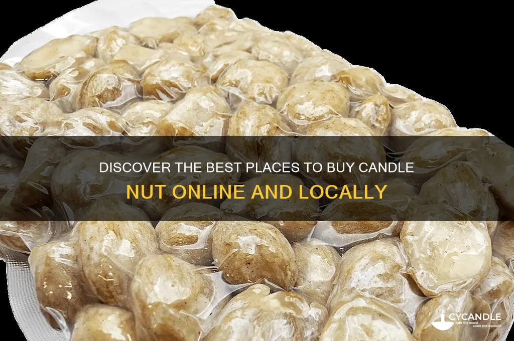 where to buy candle nut