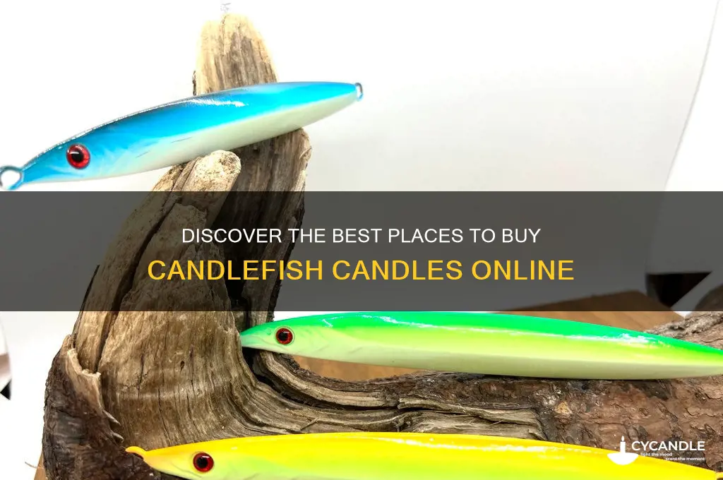 where to buy candlefish candles