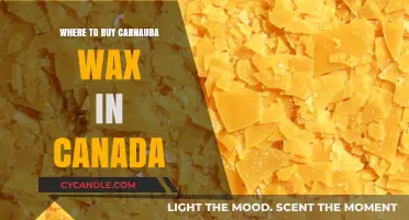 Top Canadian Retailers for Carnauba Wax: A Comprehensive Guide