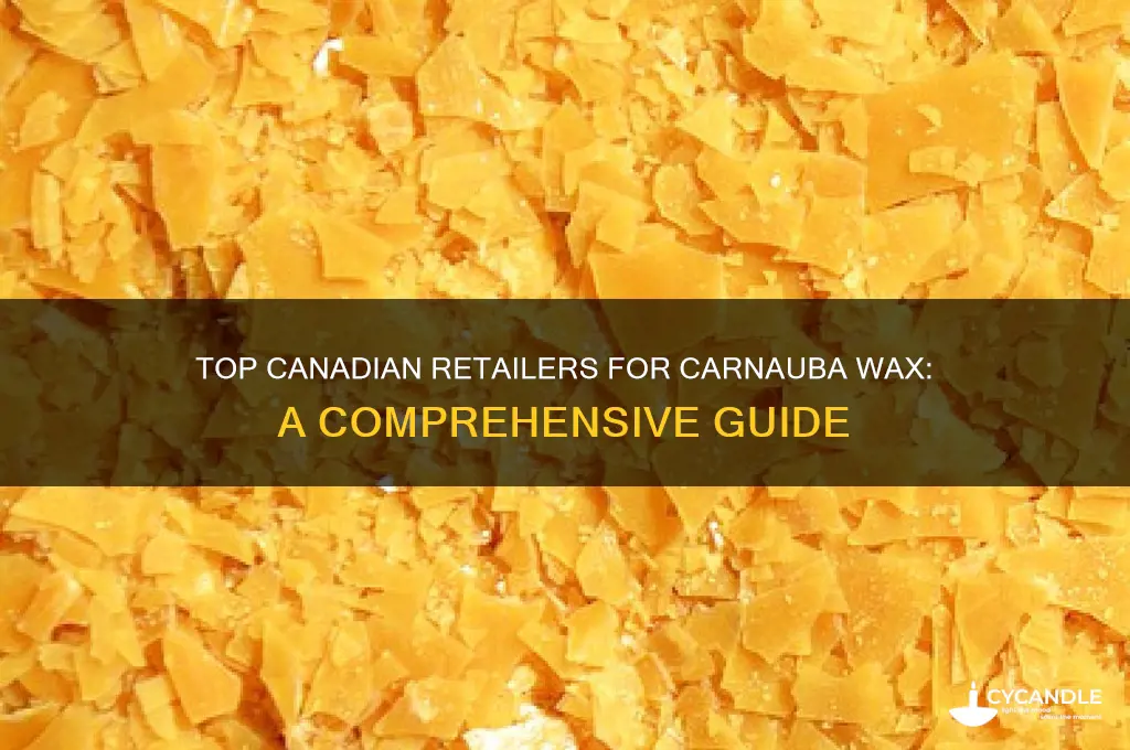 where to buy carnauba wax in canada