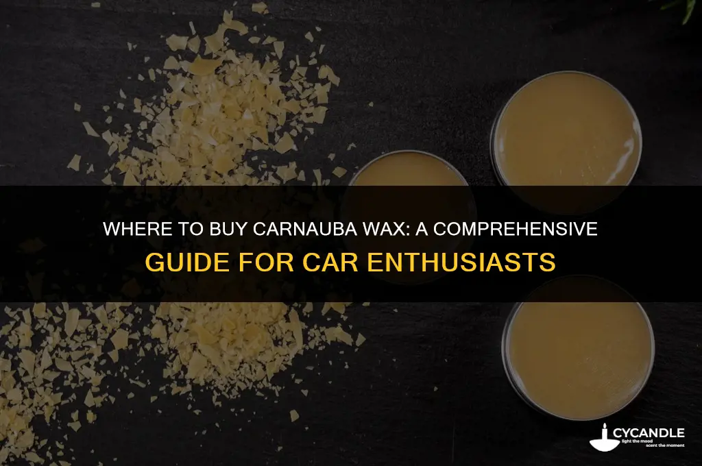 where to buy carnauba wax