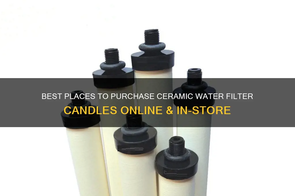 where to buy ceramic water filter candle