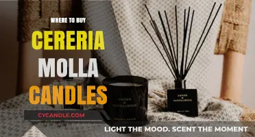Discover the Best Places to Buy Cereria Molla Candles