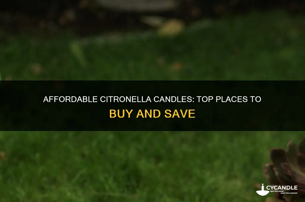 where to buy cheap citronella candles