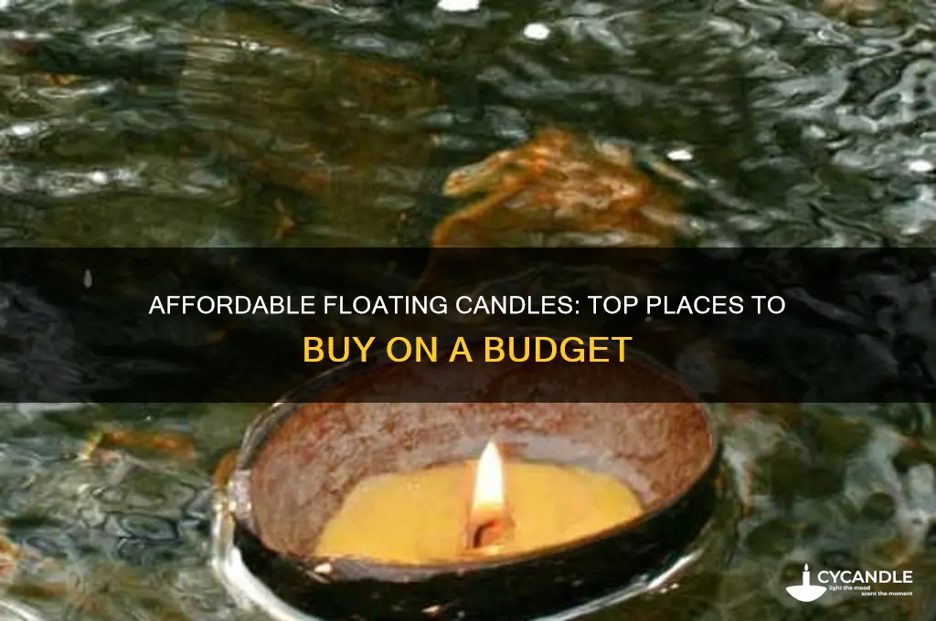 where to buy cheap floating candles