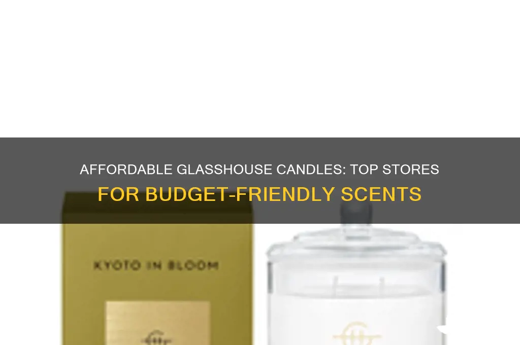 where to buy cheap glasshouse candles