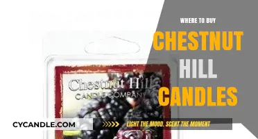 Discover the Best Places to Buy Chestnut Hill Candles Online