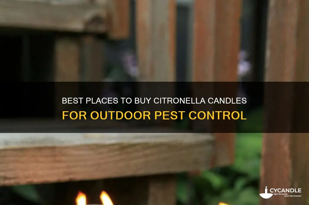 where to buy citronella candles