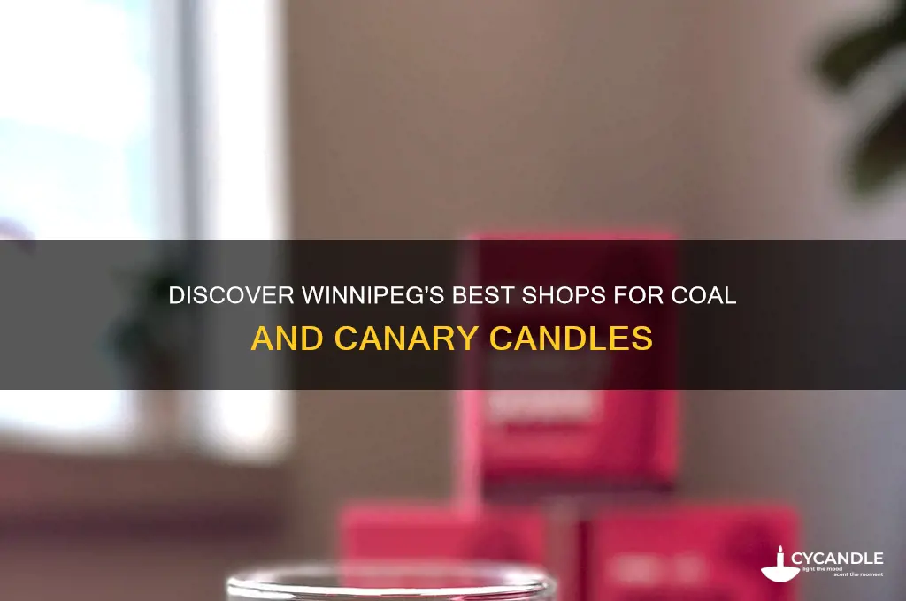 where to buy coal and canary candles in winnipeg